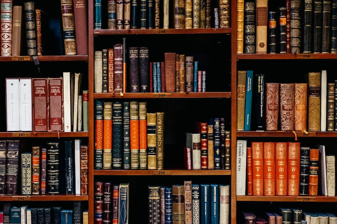 Mastering Monorepos: Organizing Component NextJS Libraries & Projects with NPM Workspaces