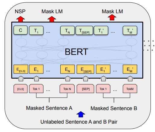 Pre-training of the BERT model with NSP and MLM tokens at the output.