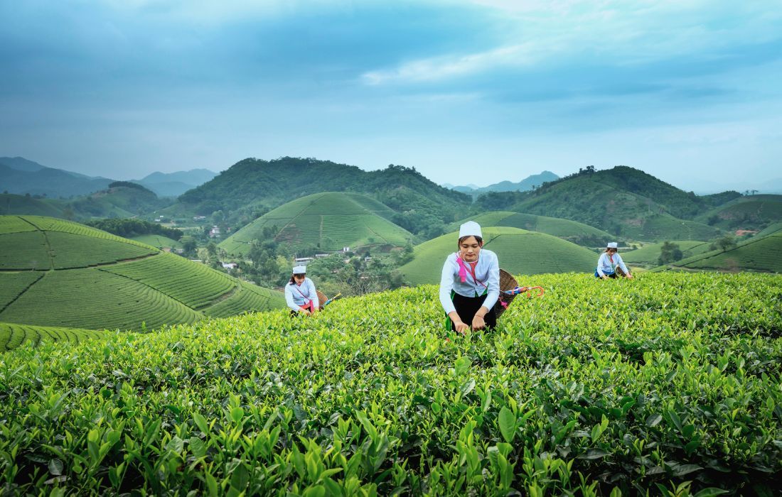 ReFi: The Financial Revolution That Prioritizes the Planet