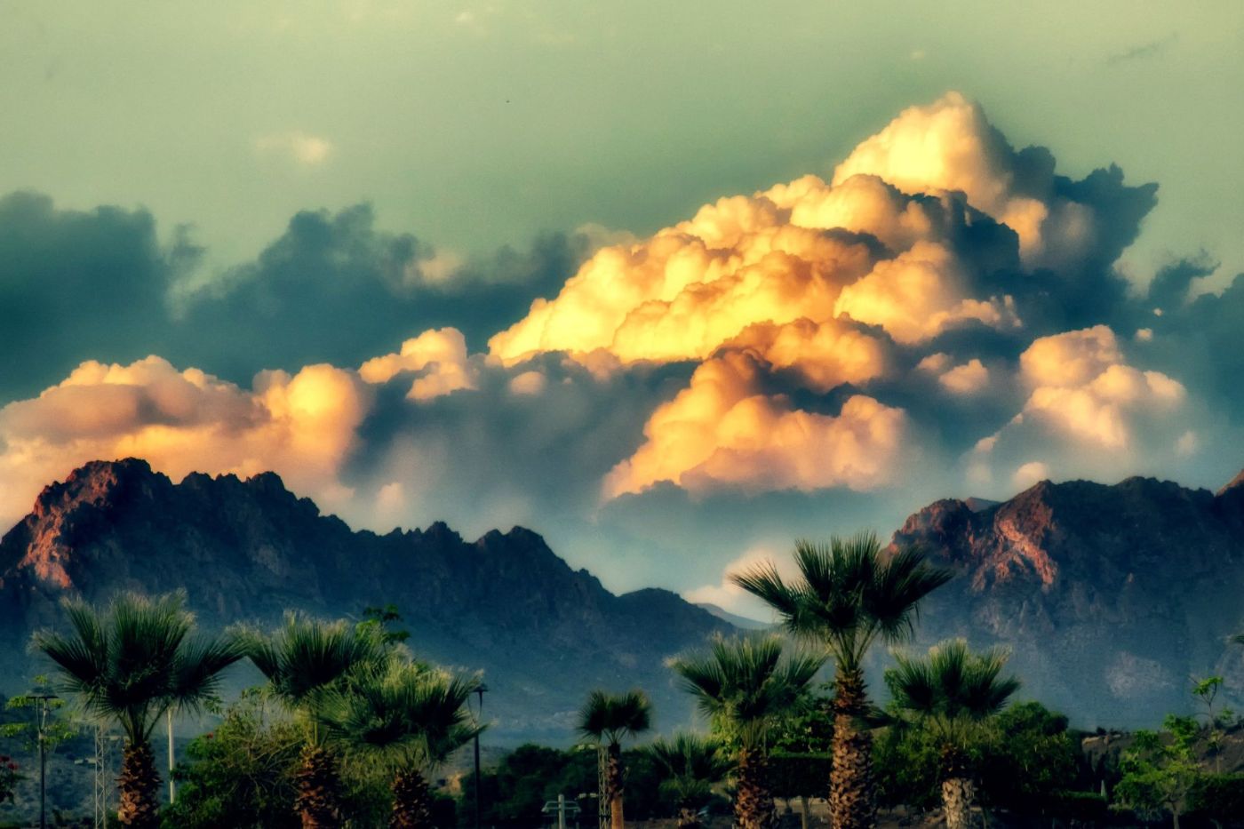 Earth Day 2023: How Blockchain Can Fund and Build a Greener Future