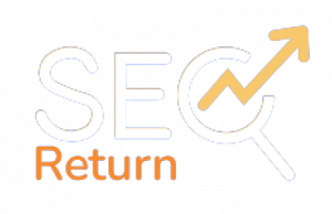 SEO Return