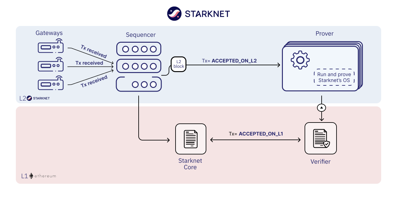 Starknet Network Architecture