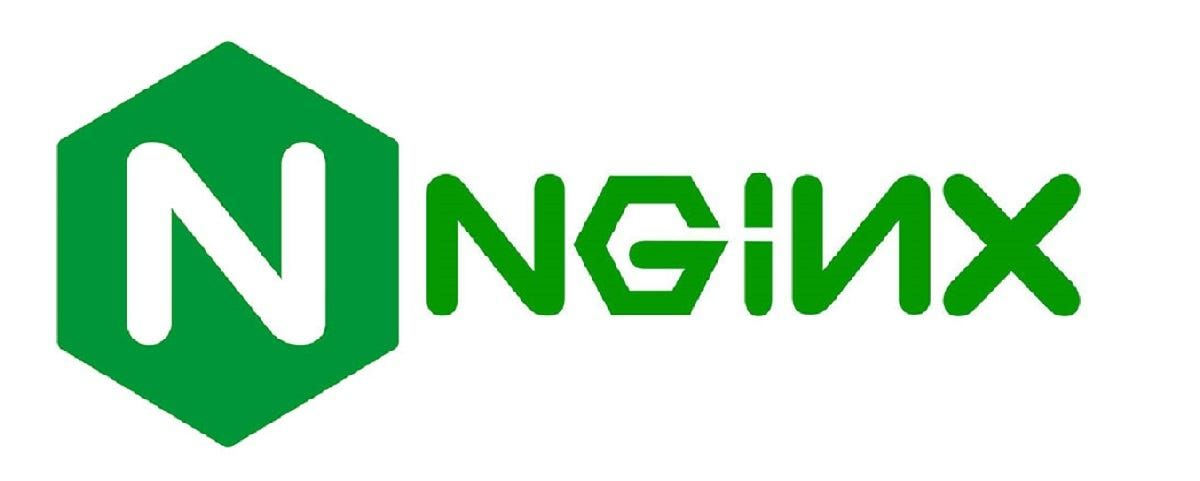 How to Use NGINX to Host a Local Site Using Docker