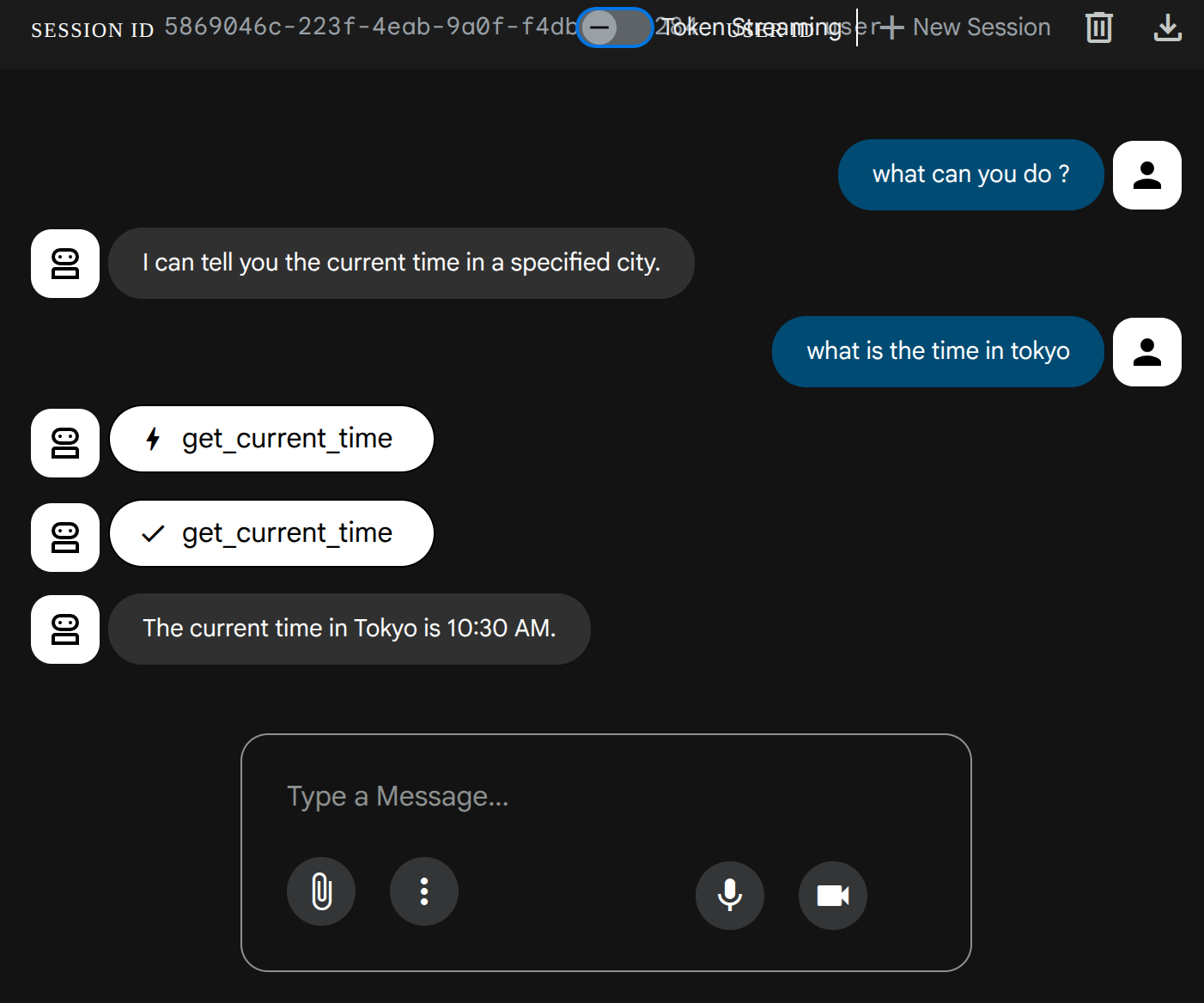 Interactive chat with our agent in ADK web console