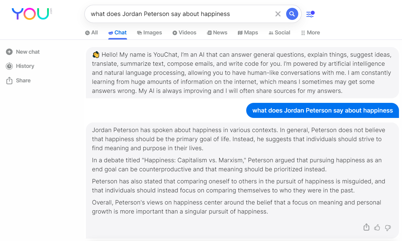 You.com's response to the query: What does Jordan Peterson say about happiness?