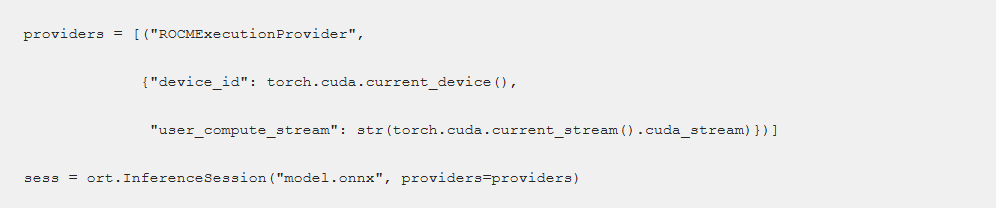 ONNX code example