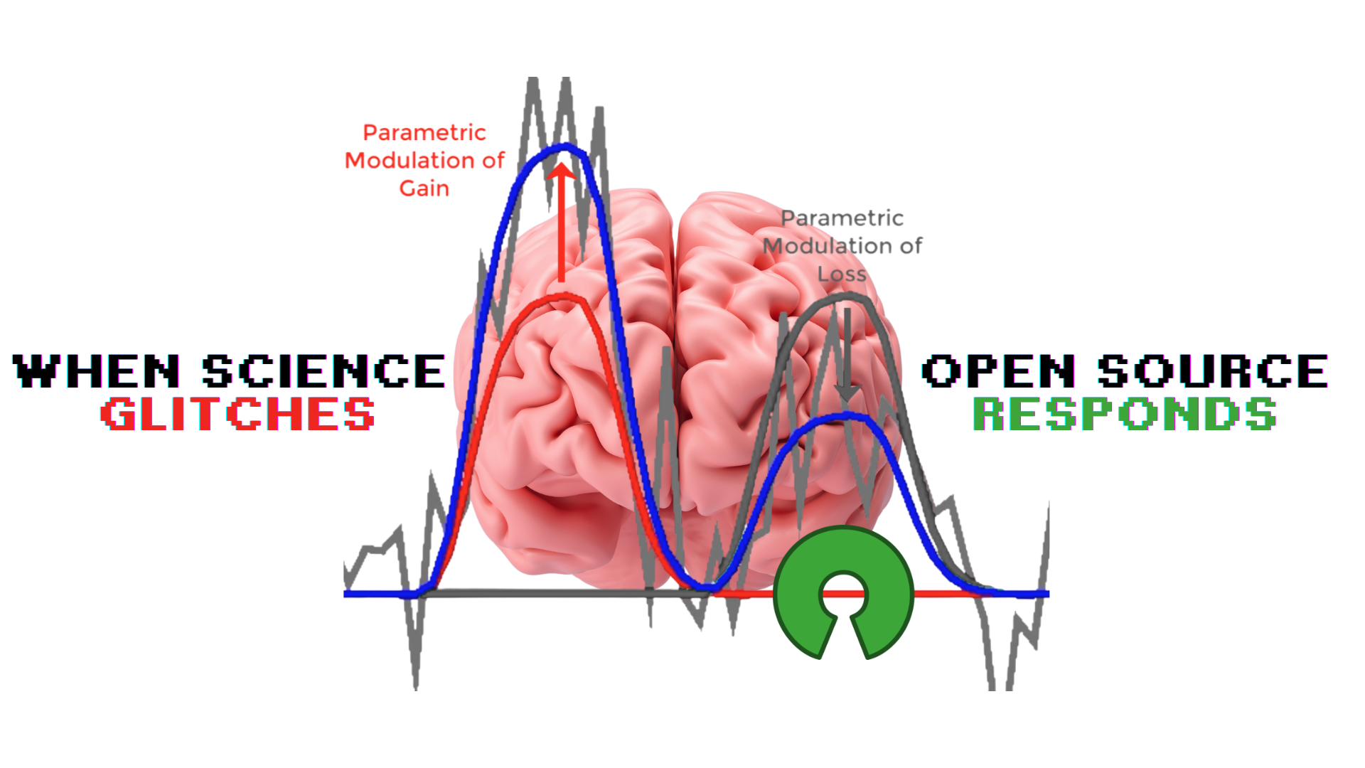 The Bug, The Black Box, and the Brain Map: What AFNI vs. SPM Taught Us About Open Source and Scienti