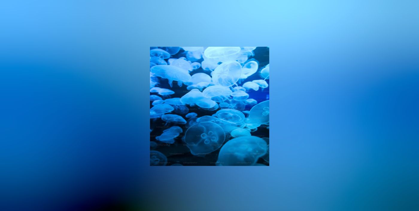 How to Create Apple Music's Background Blur Effect Using Blurhash