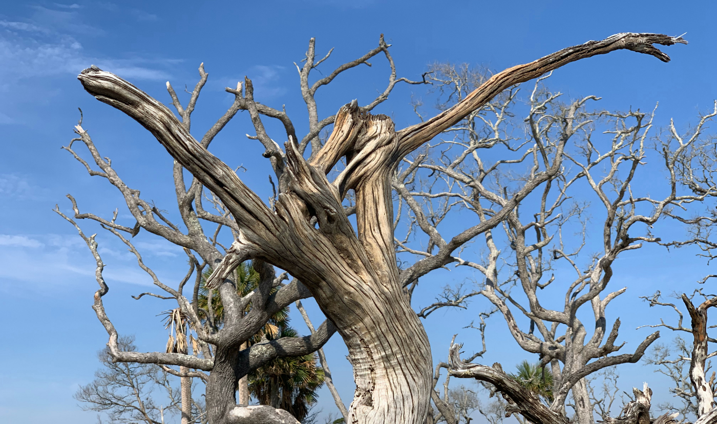 Code Smell 238 - Dealing With Entangled Code