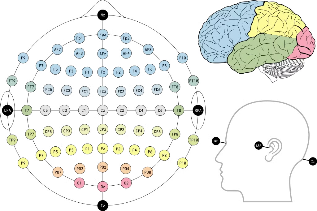 //en.wikipedia.org/wiki/File:EEG_10-10_system_with_additional_information.svg 