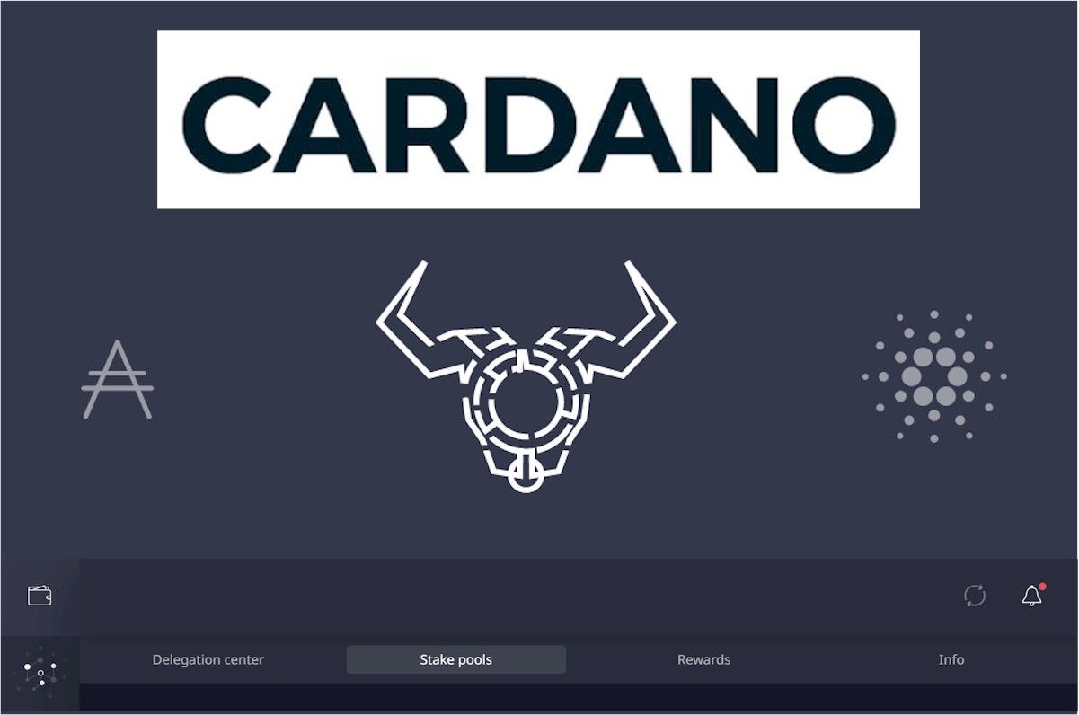 The Best Cardano Stake Pool To Stake ADA, & The Pros and Cons of
