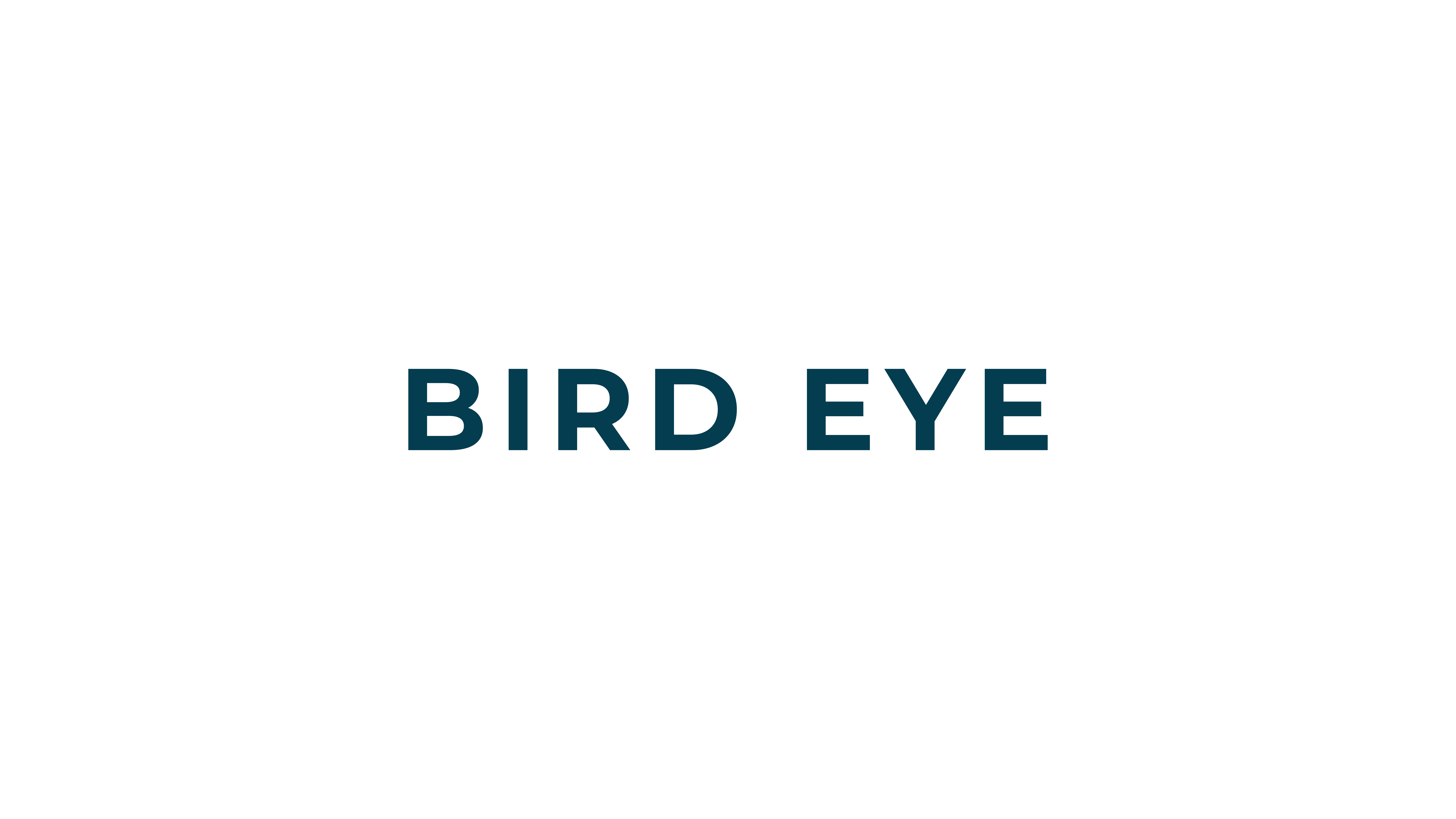 Bird Eye India