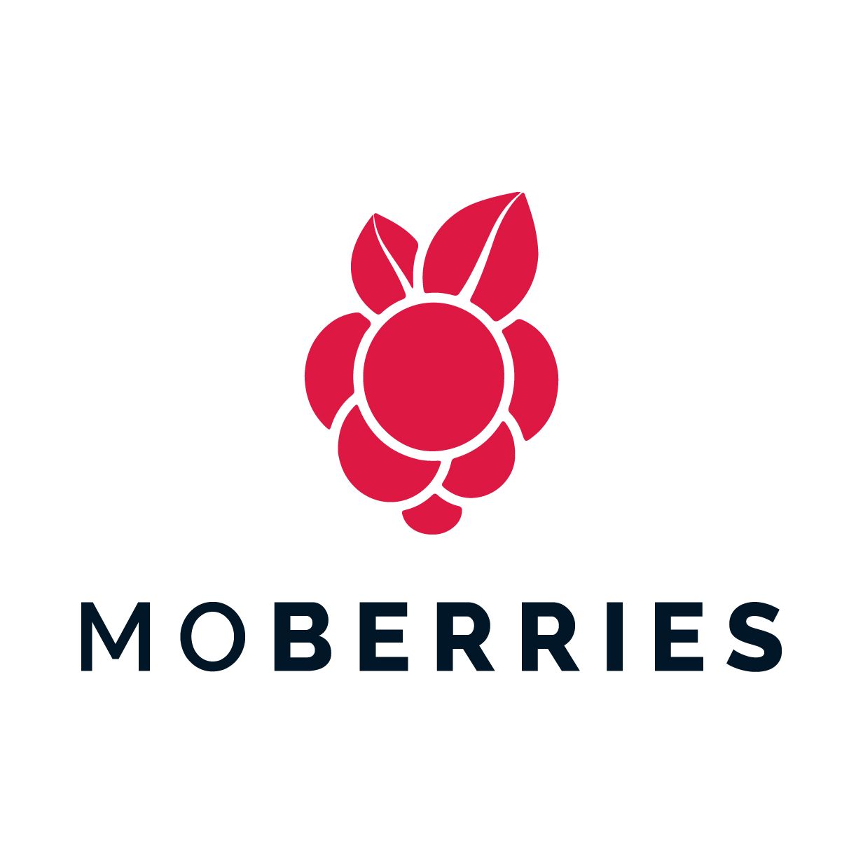 Team MoBerries