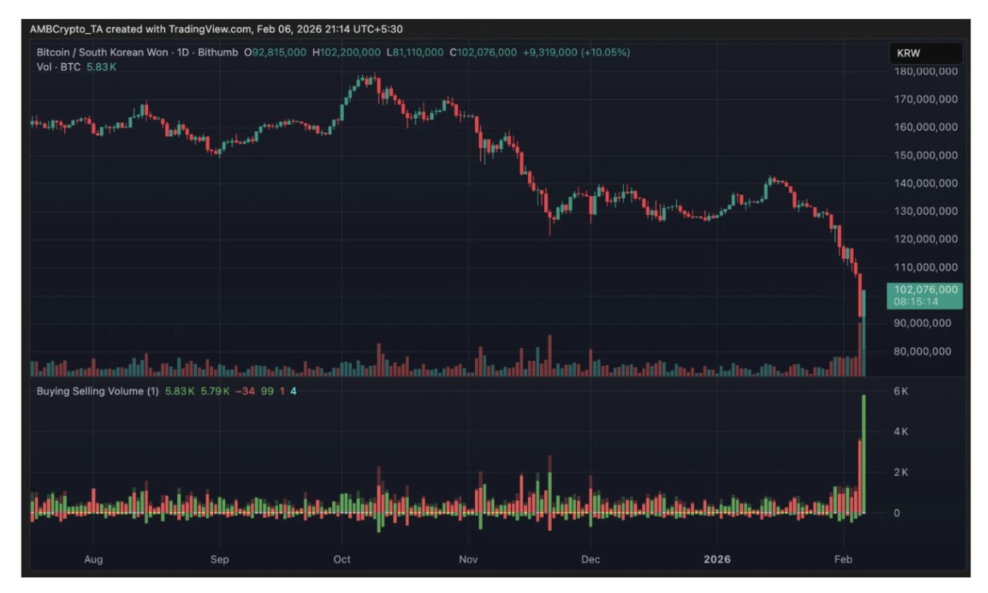 BTC price movement on Bithumb following the error | Source: TradingView