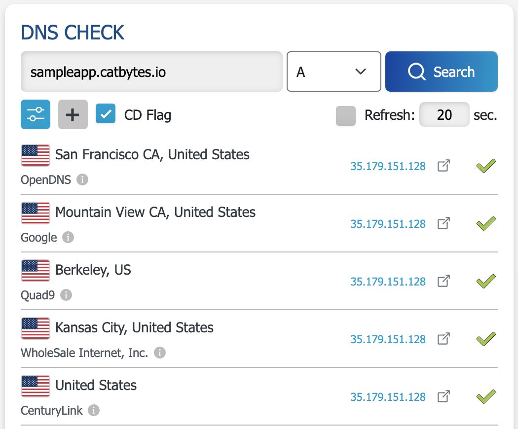 Picture 17. DNS propagation checker