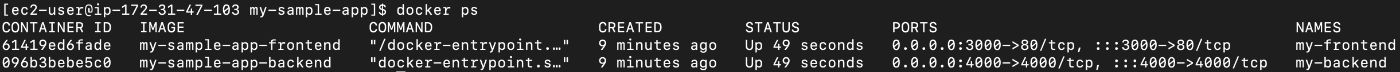 Picture 18. Example of docker containers running on EC2