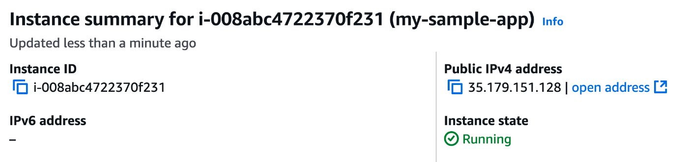 Picture 14. Public IP of the EC2 instance