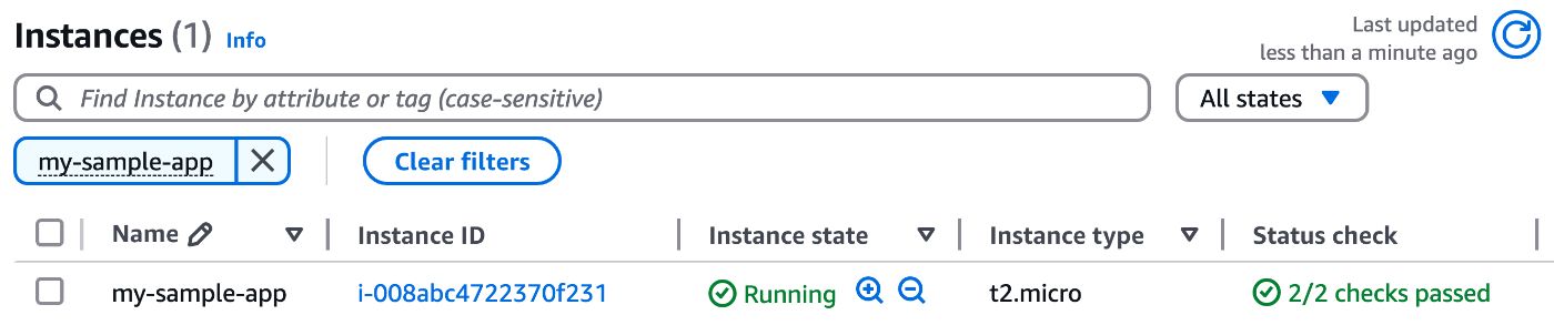Picture 14. EC2 instance running