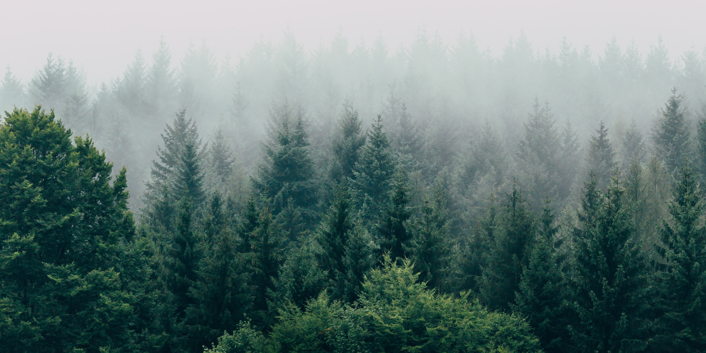 Guide to React Suspense: From Code Splitting to Data Fetching