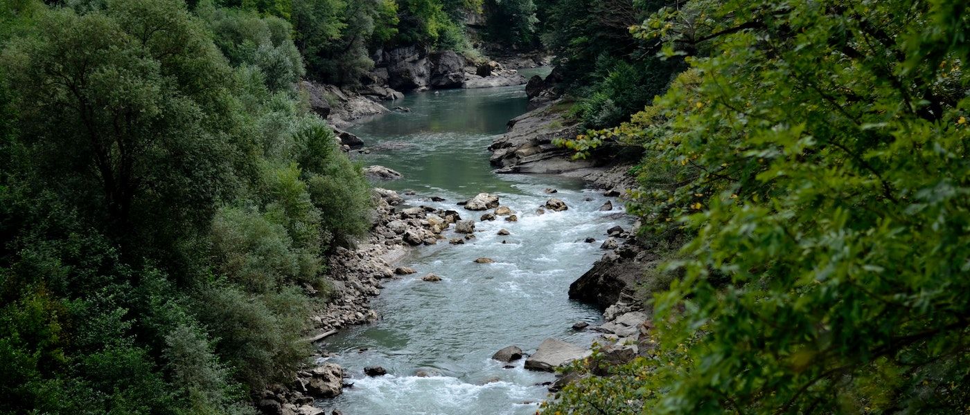 Streaming Data From a REST API Using Spring Webflux