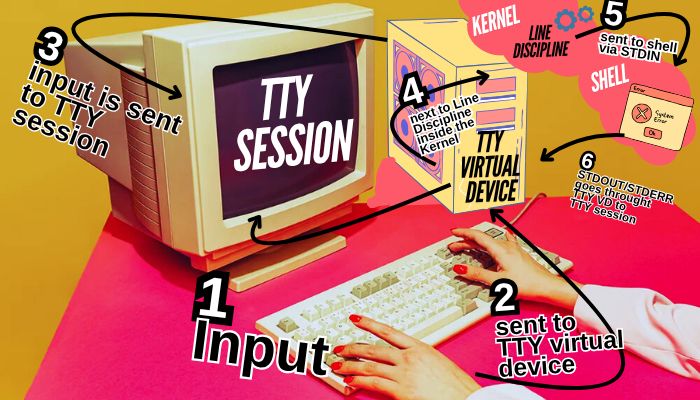 TTY Graph