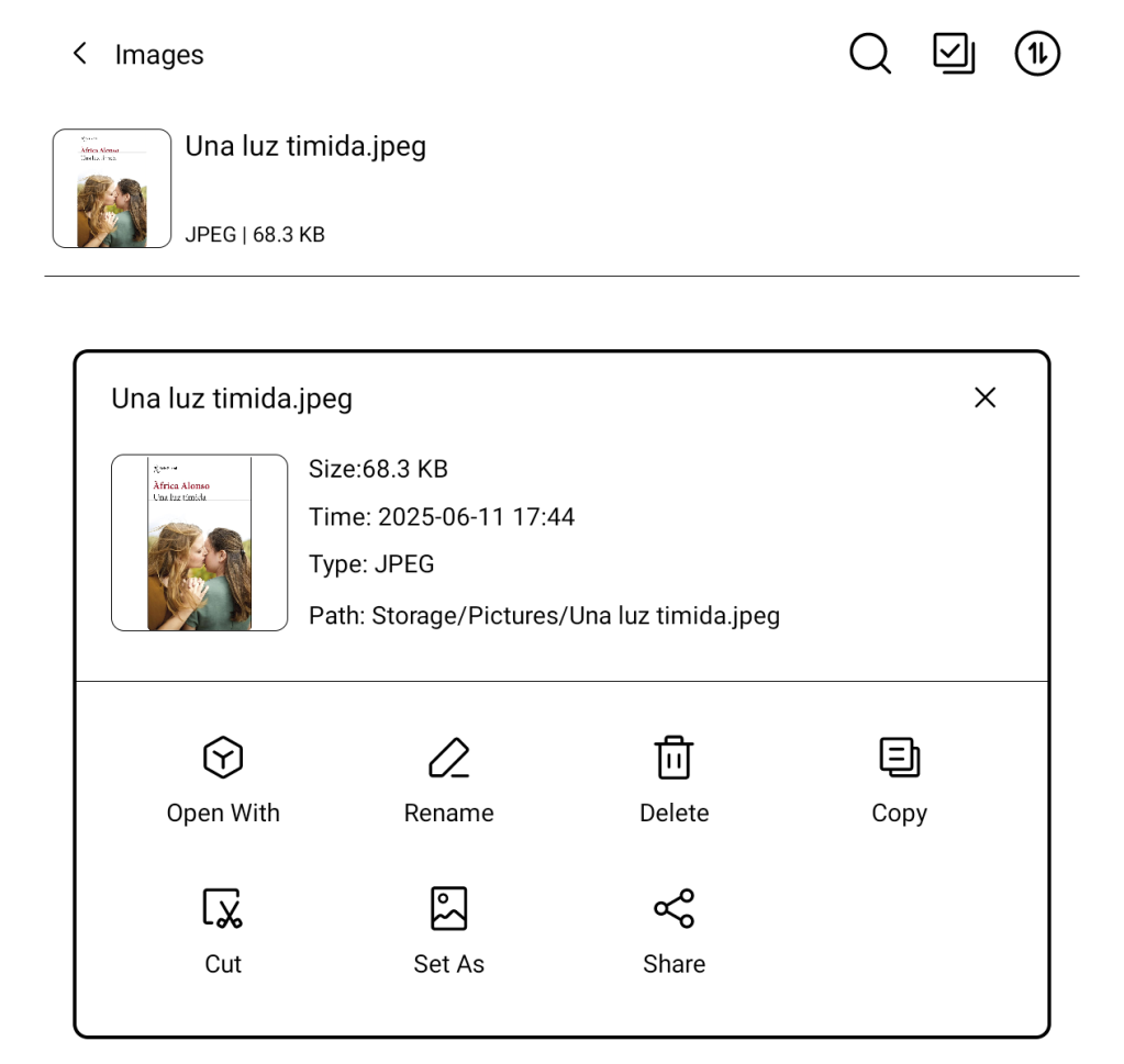 Context menu for a downloaded image