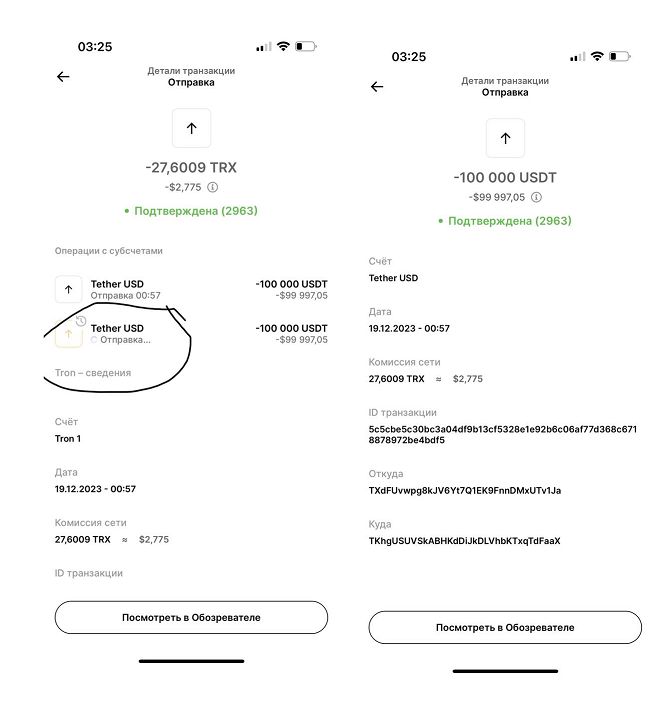 Sending status of scam transaction (Sorry for Russian lang on the screens)