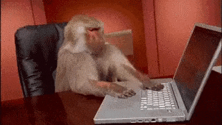 A gif of monkey at the computer trying to undo something bad. Source: giphy.com