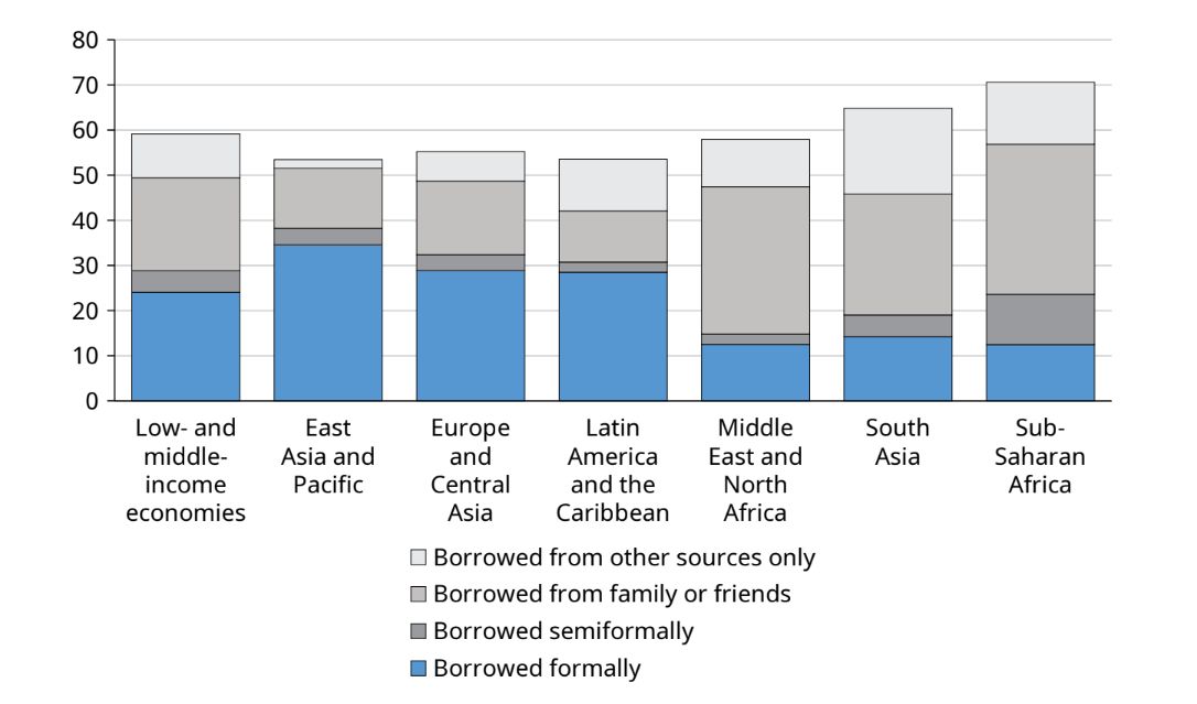 Adult borrowing sources in 2024 (Source: Findex)
