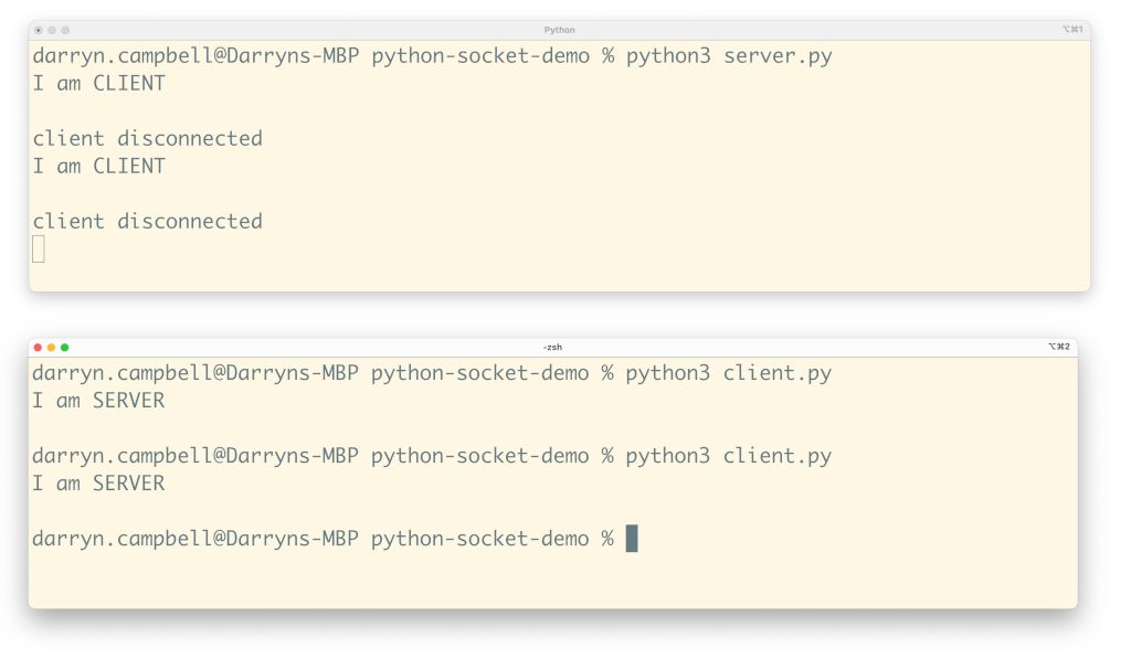Python socket example