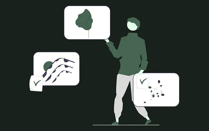 Using Amazon Rekognition to Build an Image Object Detection Feature for a Social Media Startup