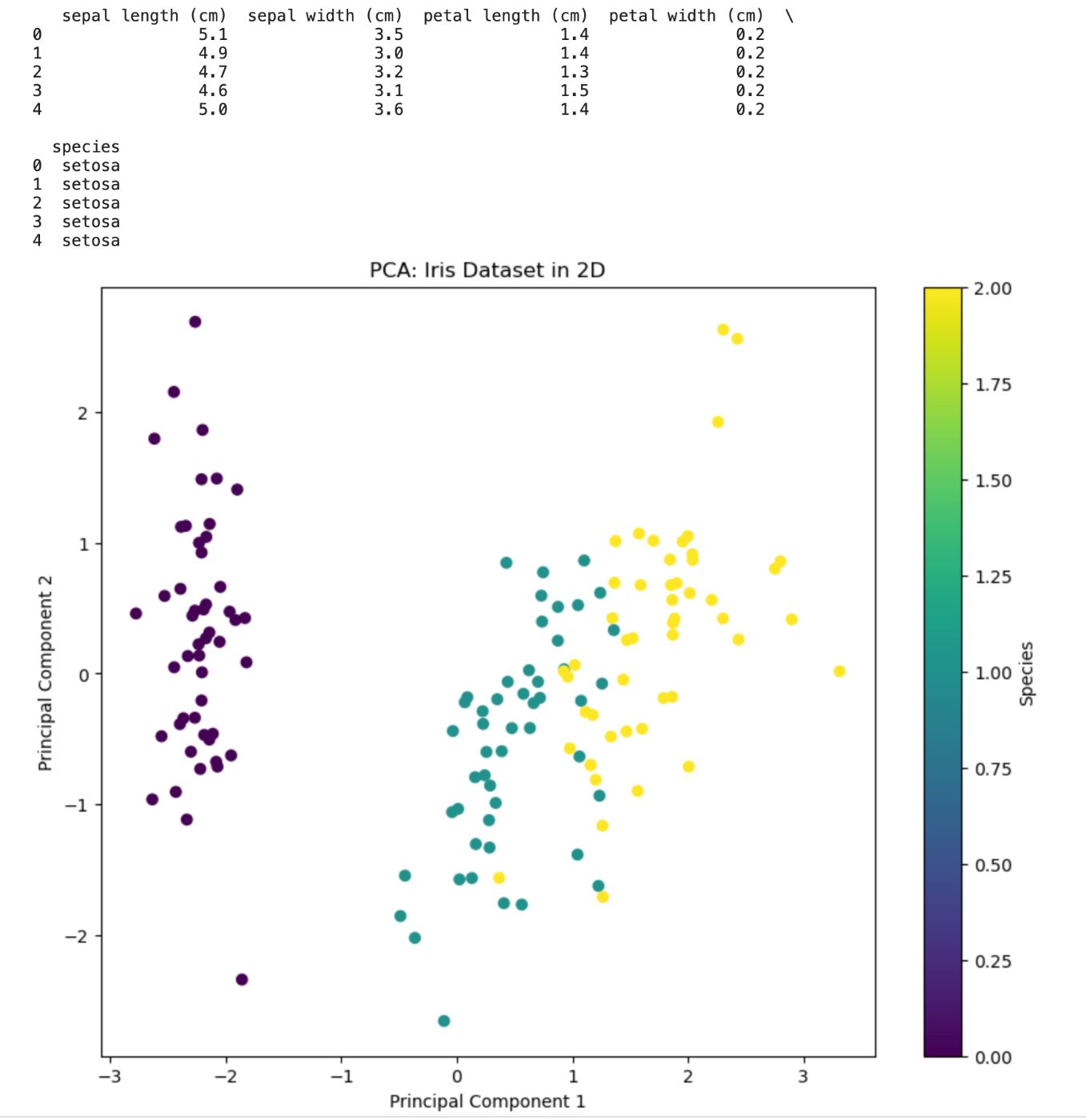 2D PCA Visualization