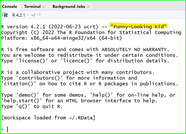 RStudio Console contents upon loading a new session.