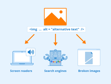 ALT Attribute - ALT Attribute - Author: Seobility - License: CC BY-SA 4.0