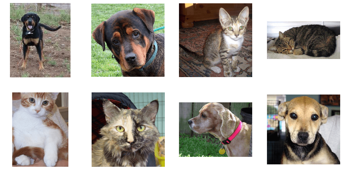 Dogs vs Cats images
