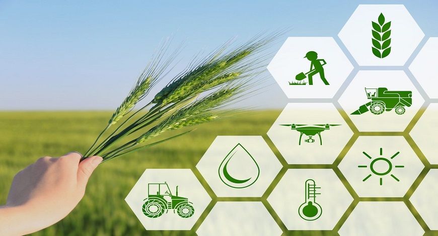 featured image - How Approaching An Agriculture Company Is Beneficial