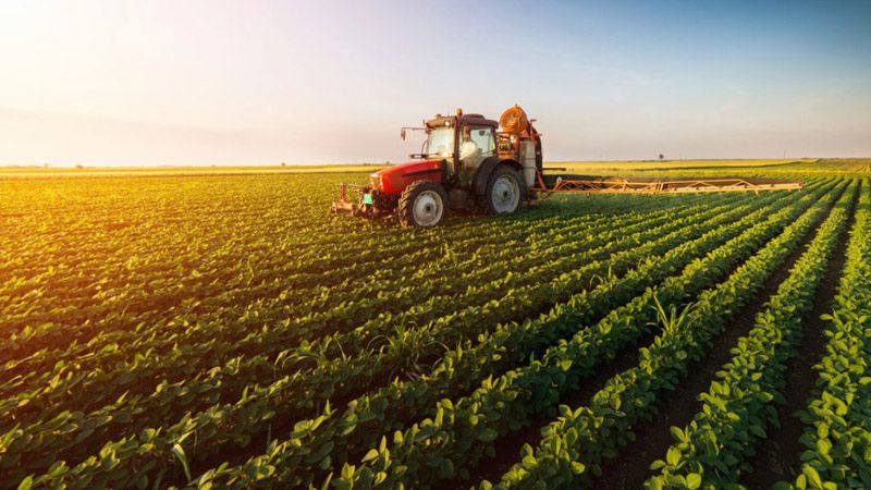 featured image - Trusted Company For All Agricultural Solutions In Saudi Arabia
