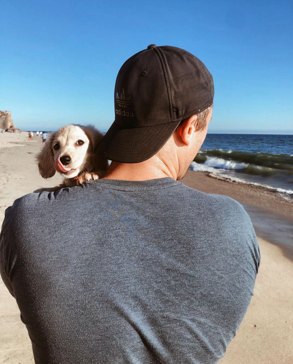 Sandy, Dibbs' office mascot and Evan's executive assistant