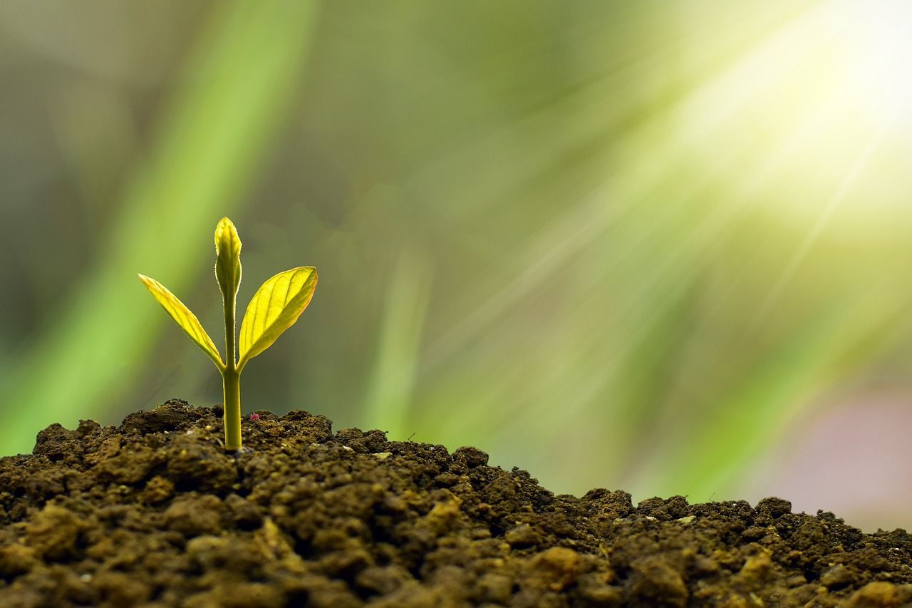 3 Growing Business Sectors in Latin America in 2023