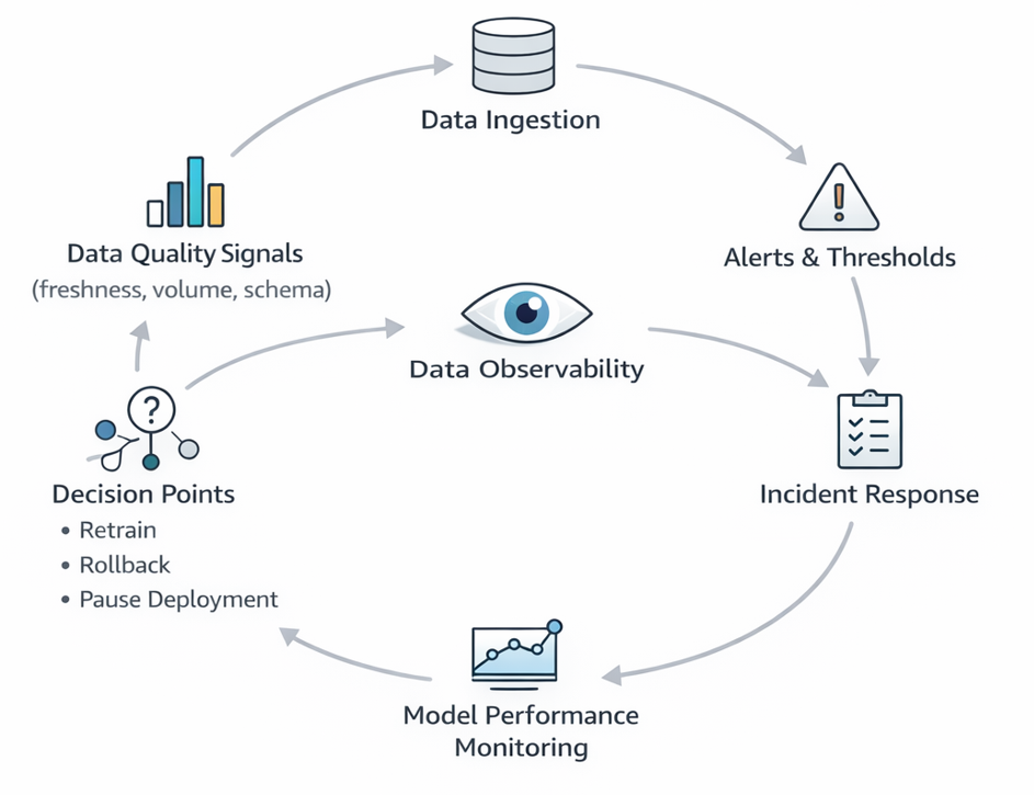 Data observability feedback look for production ML