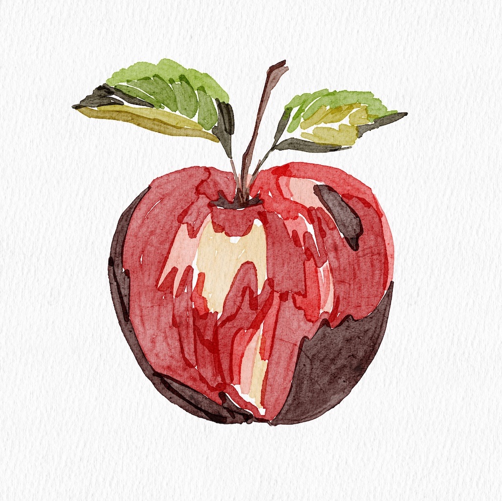  Basic colouring. Digital illustration cerated by the author.