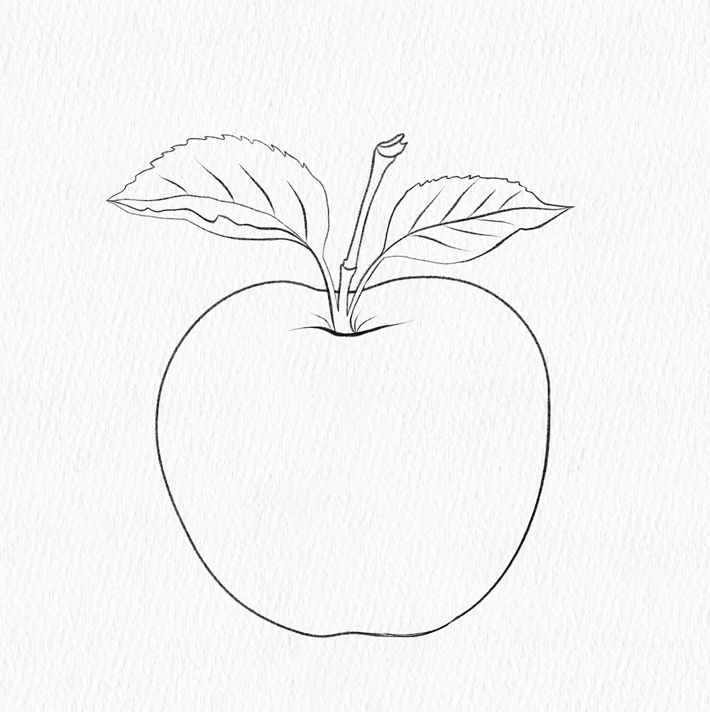  Detailed digital sketch. Digital illustration cerated by the author.