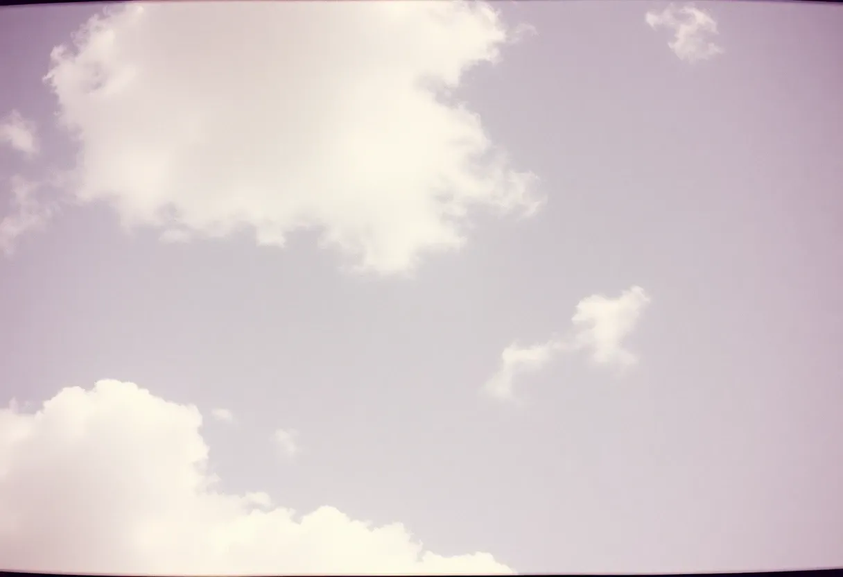 MaGGIe: Achieving Temporal Consistency in Video Instance Matting