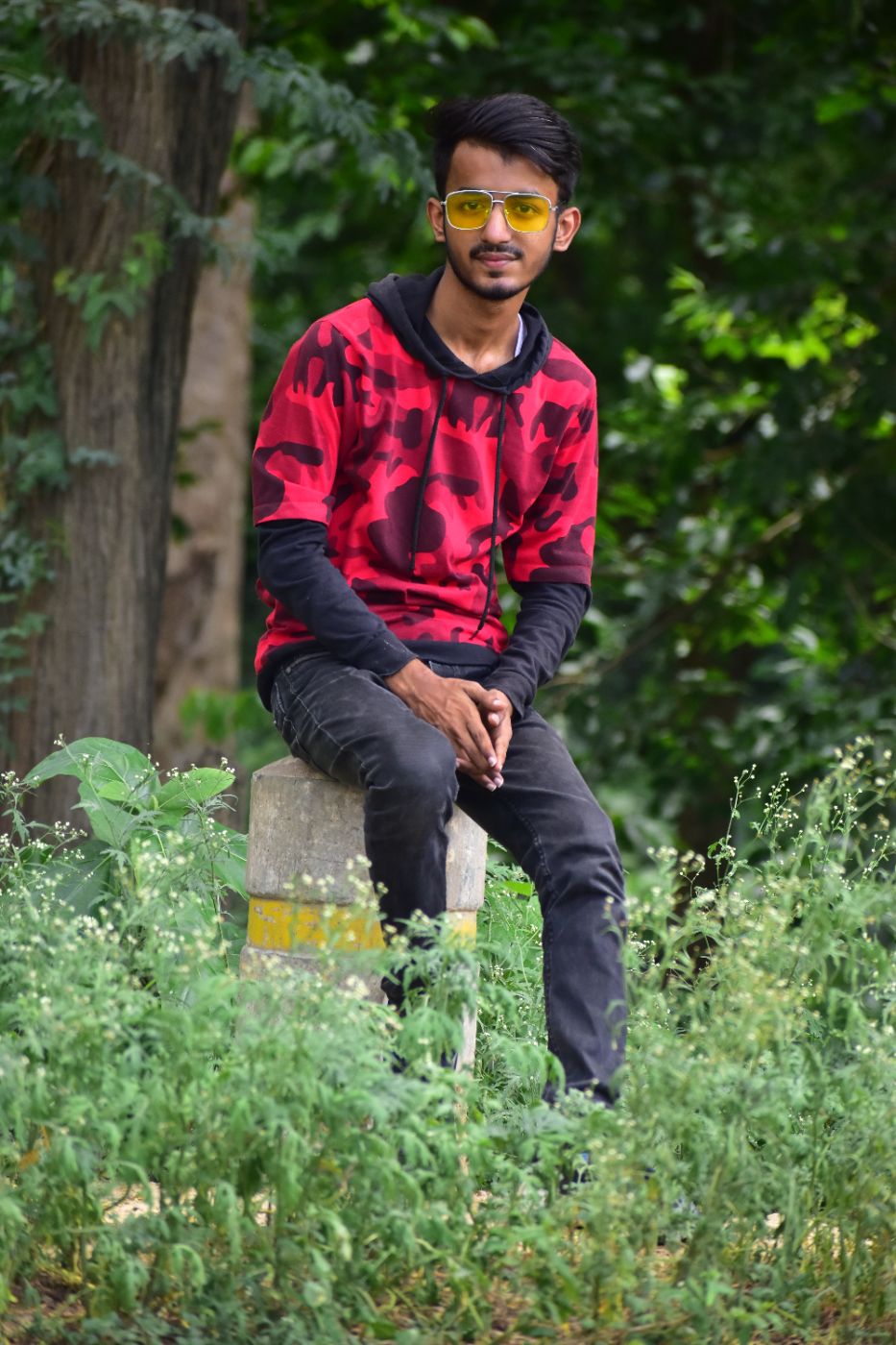 Author profile picture