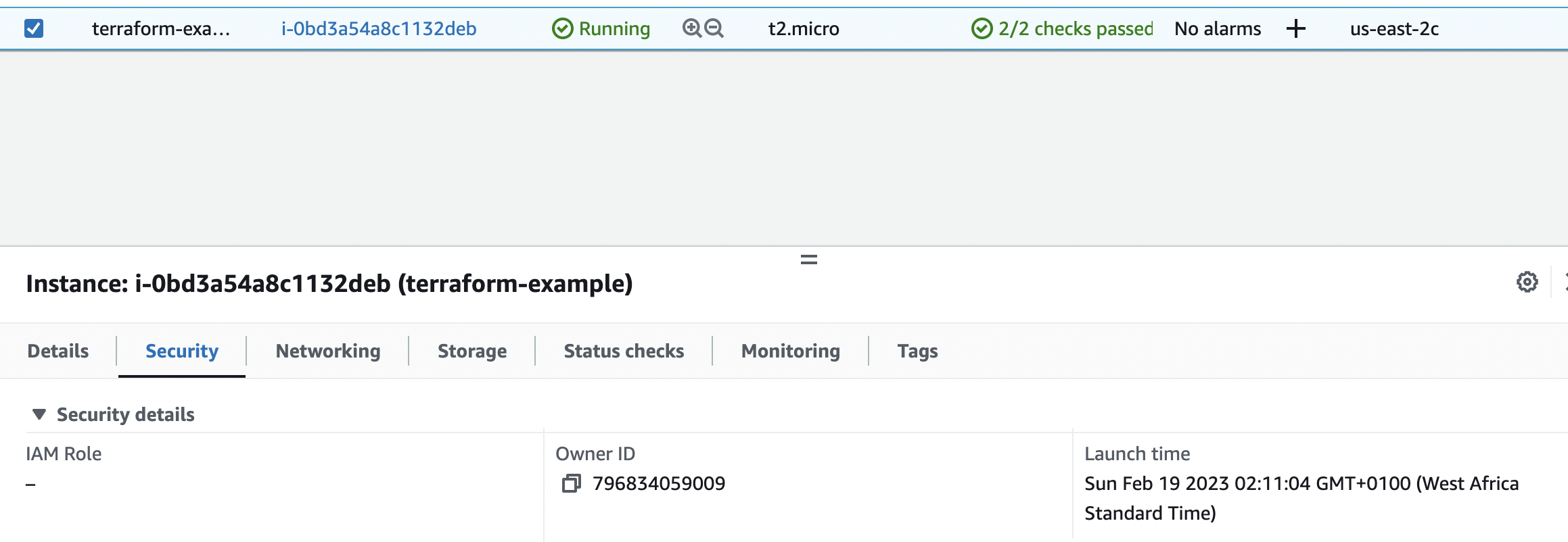 EC2 Instance deployed by Terraform on AWS console