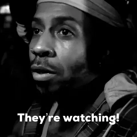 Stephen Voyce via GIPHY