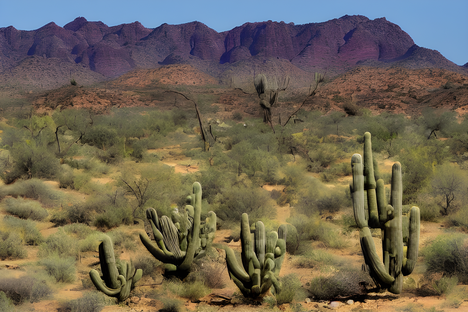 arizona hills