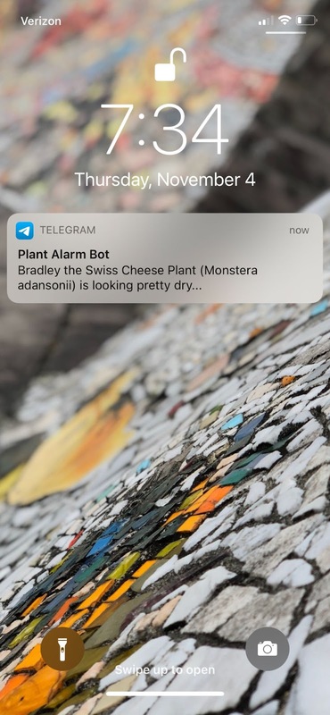 A Telegram notification on my phone telling me that my Monstera adansonii needs to be watered.