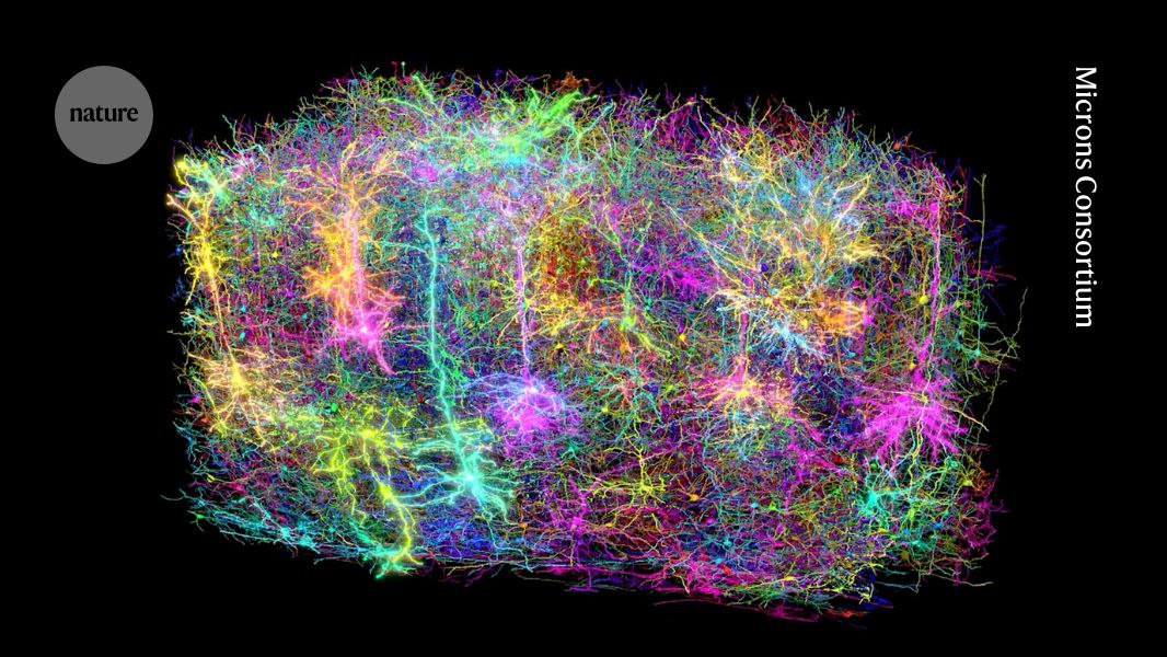 NIH BRAIN Initiative: Connectome Science Represents a False Mind Map