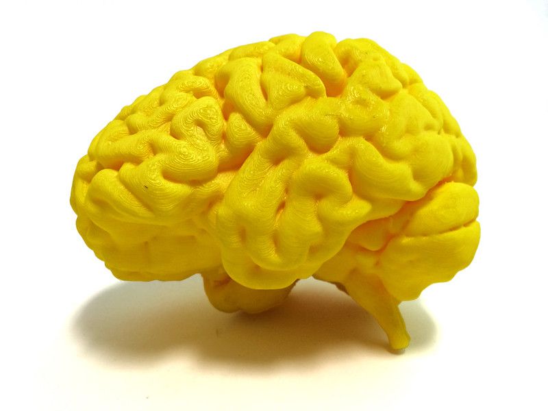 LLMs: The Percentile of Generative AI in Human Hierarchy